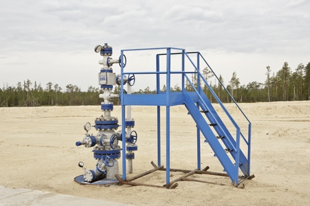 Wellhead in the oil and gas industry