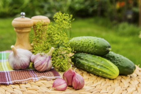 Cucumbers, garlic and spices on a wattled table in a gardenの写真素材