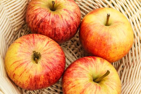 Beautiful tasty and useful crop from an apple garden.の写真素材