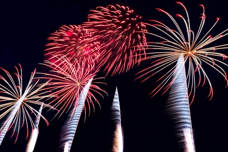 Brightly colorful fireworks and salute of various colors in the night sky