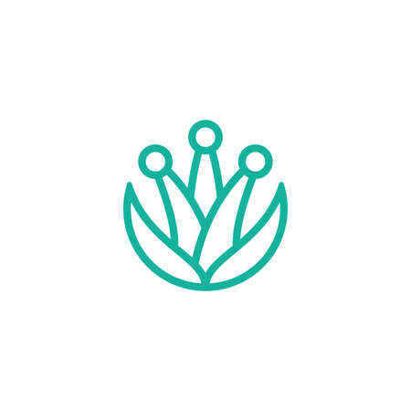 aloe plant kingのイラスト素材
