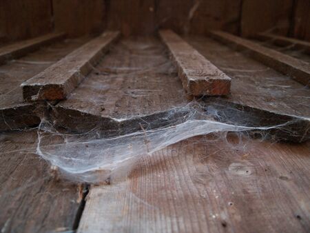 Cobwebs on a picket fenceの写真素材