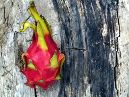 Dragon fruit on old woodの写真素材