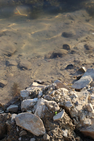 loose rocks on the bank with sprouting plantsの写真素材