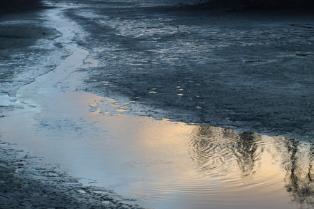 Trickle of a drained pond at the blue hourの写真素材