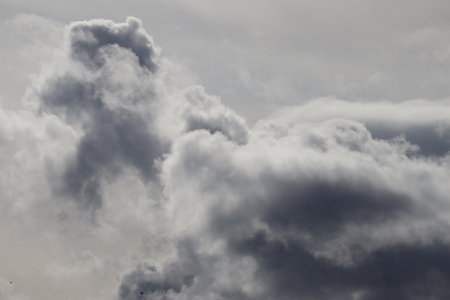 two rooks fly along a cloud formationの写真素材