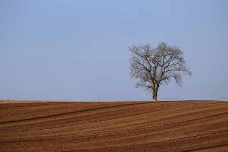 freshly sifted earth in a fieldの写真素材