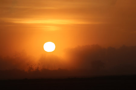 Sun shines with a shimmering edgeの写真素材