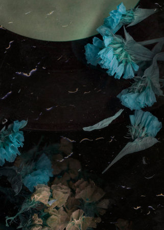 Dry flower on vinyl record music closeup background. Sad melody for the night. Rainy mood old music image. Nostalgia music pattern. vinyl plate. vintage stylized photo.の写真素材