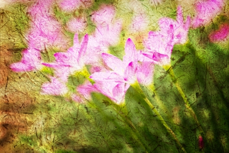 Grunge cloud background, の写真素材
