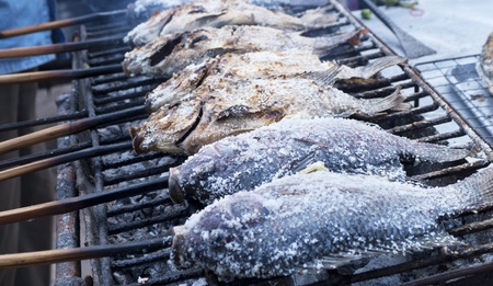 Grilling fish on campfireの写真素材