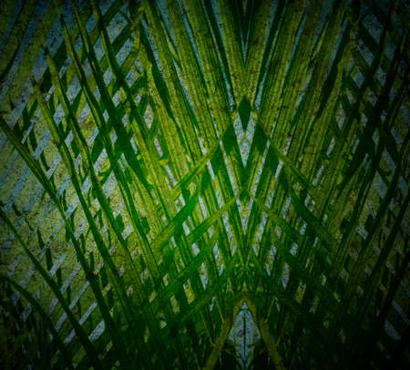 Beautiful abstract backgroundの写真素材