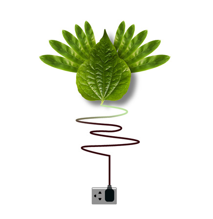 Light bulb eco concept idea,の写真素材