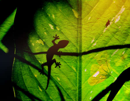 Green jungle leaf with gecko on topの写真素材