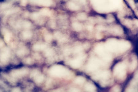 Blue bokeh background,green bokeh,green bokeh abstract