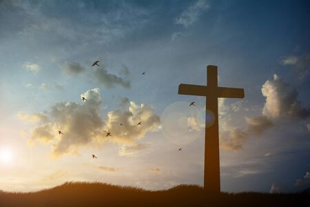 Concept conceptual black cross religion symbol silhouette in grass over sunset or sunrise sky