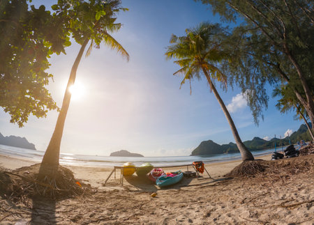 Colorful kayaks on the tropical beach, Thailandの写真素材