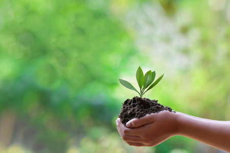 hand holding young plant. concept eco earth day.の写真素材