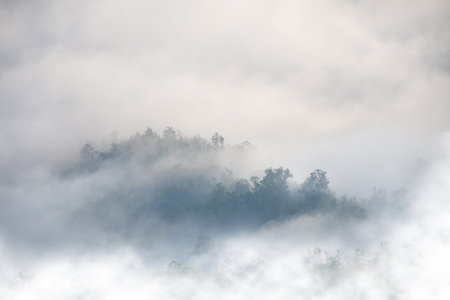Misty landscape in hipster vintage retro styleの写真素材