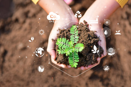 Hand planting trees with technology of renewable resources, Net Zero 2050 Carbon Neutral and Net Zero Conceptの写真素材