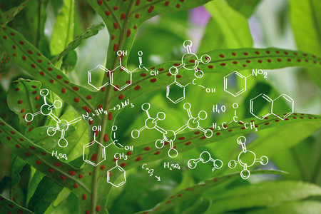 Plants background with biochemistry structure. Science concept designの写真素材