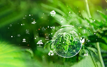 Young leaves of male fern with the icon environment of ESG, co2, circular company, and net zero. Technology Environment, society, and governance for sustainable business on green company Concept.の写真素材