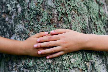 Hands hug a large tree trunk in the green, Save the planet and climate change.の写真素材