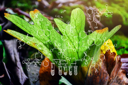 Plants background with biochemistry structure. Science concept designの写真素材