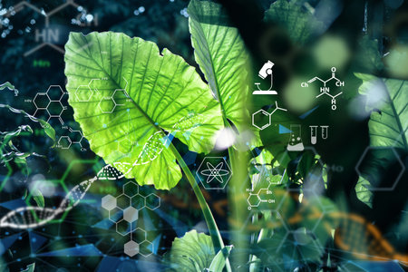 Biology laboratory nature and science. Science. Agriculture farming technology concept.の写真素材