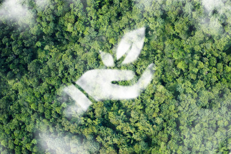 Hand holding leaf. sustainable development. Ecology concept.の写真素材