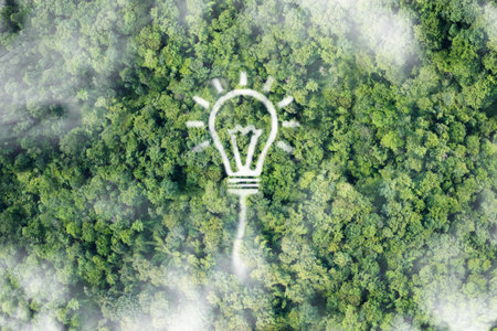 light bulb cloud in the middle of a lush forest, Renewable Energy. Environmental protection, renewable, sustainable energy sources.の写真素材