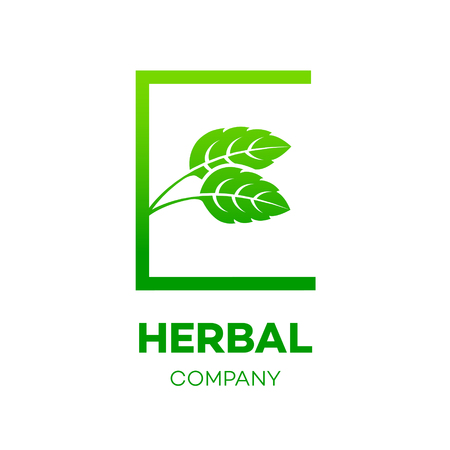 Letter E logo,Green leaf,Herbal,Pharmacy,ecology vector illustrationのイラスト素材