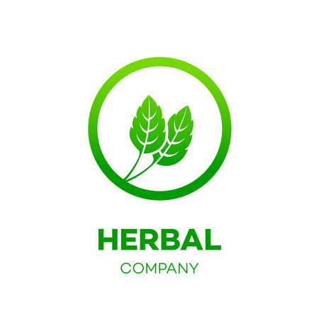 Letter O logo,Green leaf,Herbal,Pharmacy,ecology vector illustrationのイラスト素材