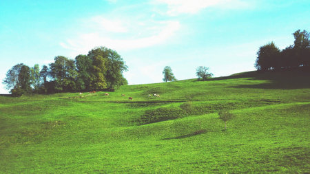 Beautiful countryside landscape with farm animalsの素材