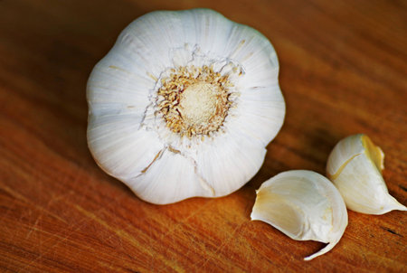 Organic garlic on wooden background.の写真素材