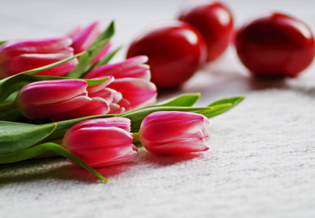 beautiful tulip pink flower with easter eggs for spring celebration.