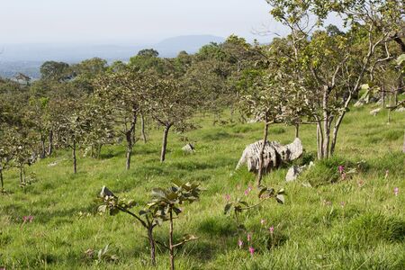 landscapeの写真素材