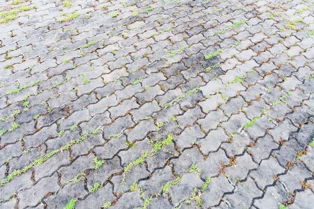block pavement with grass which is around it