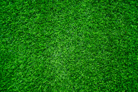 Soccer field or football field background.の写真素材