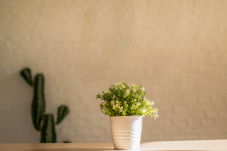 Grass in white vase on wooden tableの写真素材