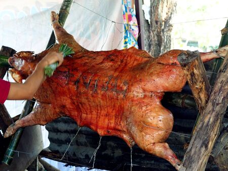 Barbecued suckling pigの写真素材