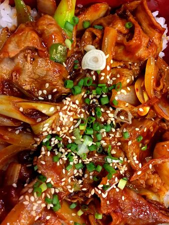 Pork fried rice, spicy sauce Japaneseの写真素材