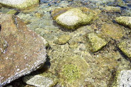 The stone and coral under the clear sea at Koh Chang island in Thailandの写真素材