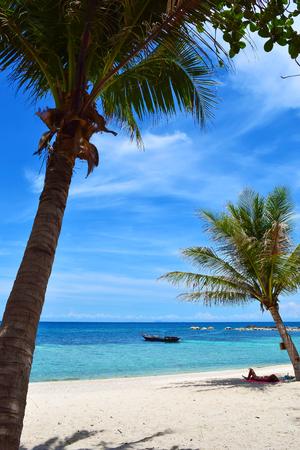 The coconut front of the beach with blue sky and sunbathe people at Koh Chang island in Thailandの写真素材