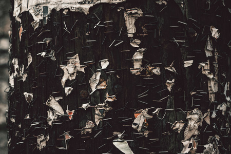Close-Up Of Wooden Telegraph Pole With Rusty Staples And Ripped Pieces Of Paperの写真素材