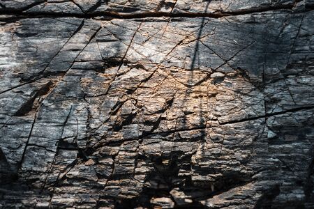 Directly Above Shot Of Carved Tree Bark With Knife Cuts