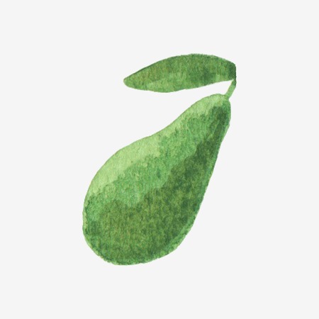 Vector illustration. Watercolor or aquarelle avocado. Hand-drawn object isolated on white background.のイラスト素材