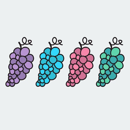 set of hand-drawn grape - illustration on the theme of the summer and autumn - farm, fruit, natural. Pink, green, blue and violet sweet and tasty grapes.のイラスト素材