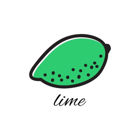 Hand drawn lime in doodle style. Vector illustration. Sketchのイラスト素材