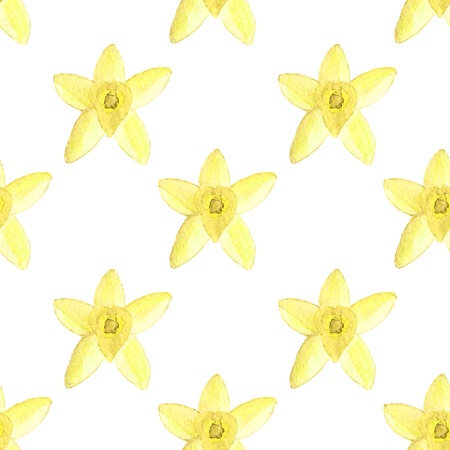 Seamless watercolor pattern with vanilla flower on the white background, aquarelle.  Vector illustration. Hand-drawn background. Spice for mulled wine.のイラスト素材